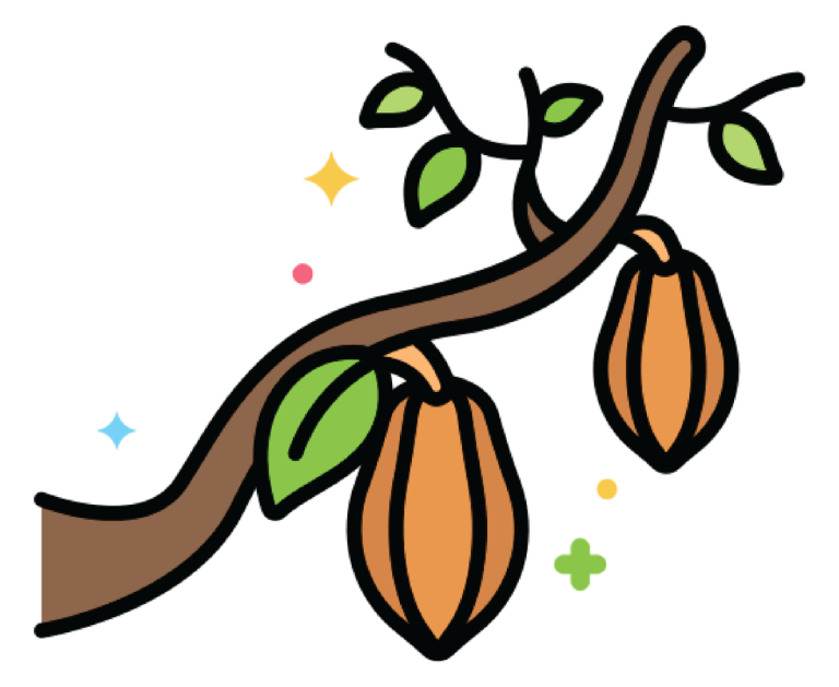Cocoa-01