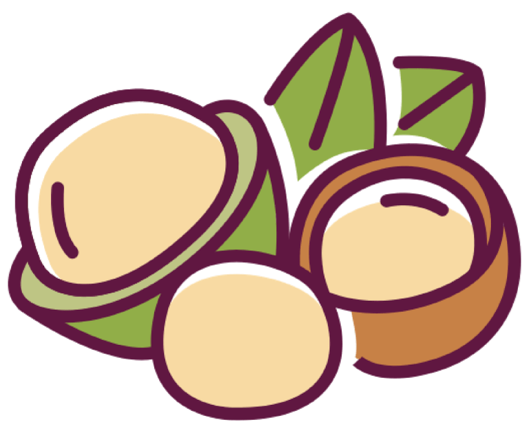 Macadamia-01