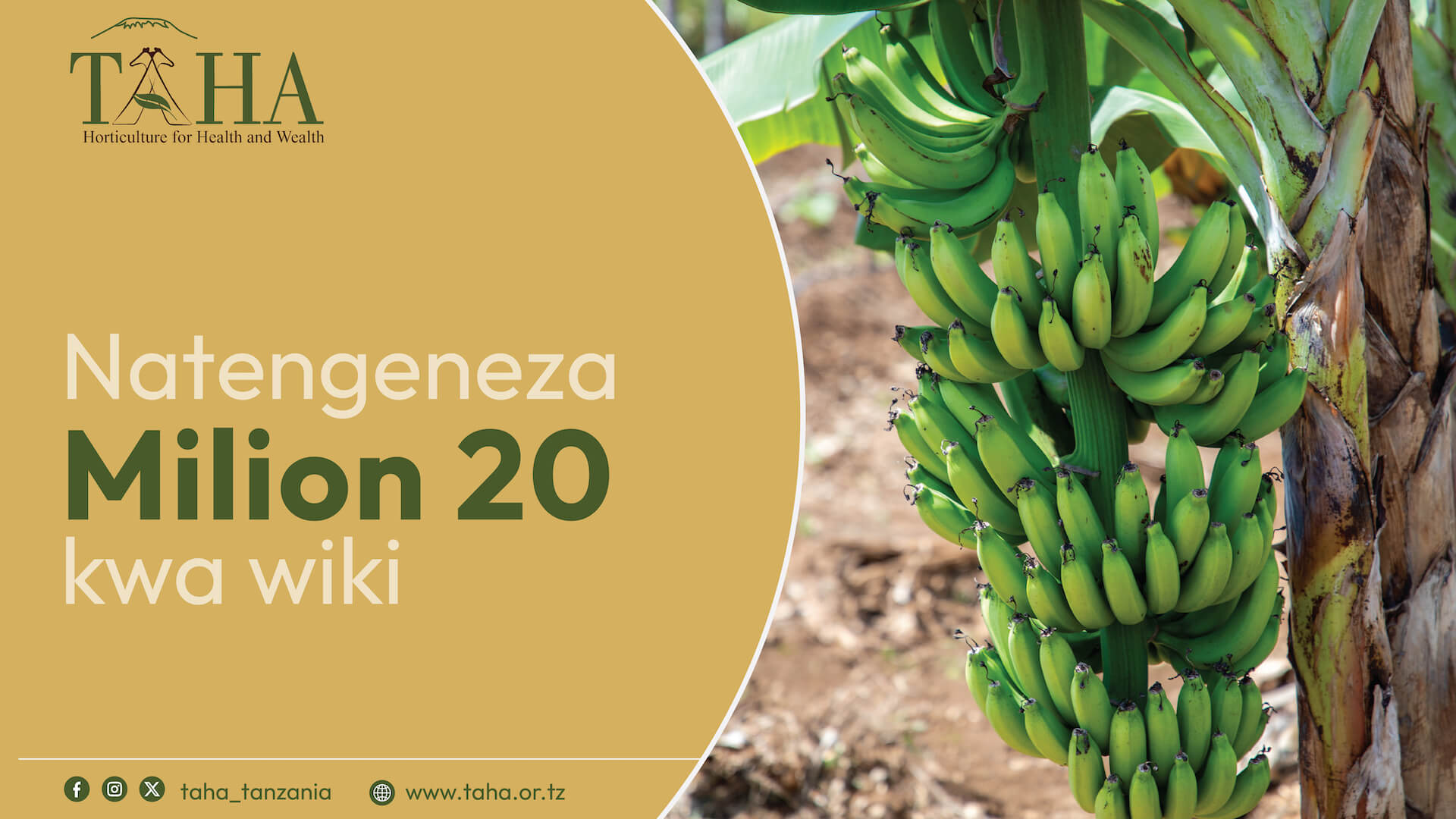 Natengeneza Milioni 20  kwa wiki