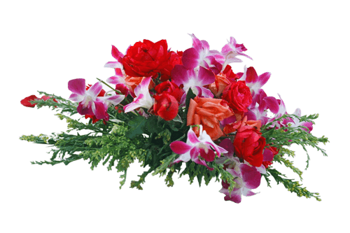 flower1-e1747480147564
